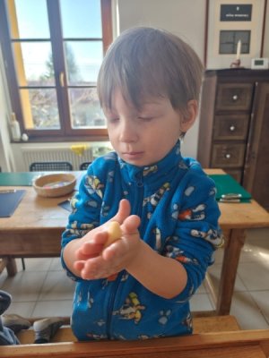 e219ebea-713b-4dda-bba4-b15418e4633d.jpeg